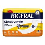 BIGFRAL-ABSORVENTE-GERIATRICO-PCT-C-20UN-20461-0