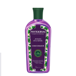 CONDICIONADOR-PHYTOERVAS-ANTIQUEDA-BETULA-FR-250ML